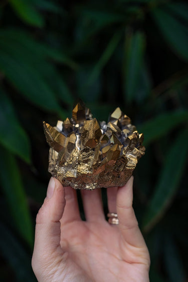 Golden Aura Cluster